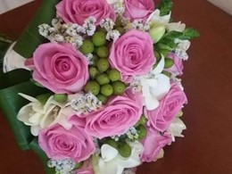 FB_IMG_1576714008824