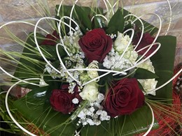 IMG_3205