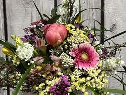 IMG_3566