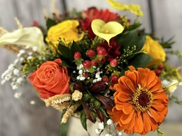 IMG_4521