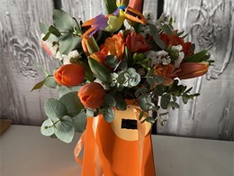 IMG_5186